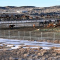 Wild Horse Holding Pens, Wy