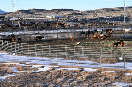 Wild Horse Holding Pens, Wy