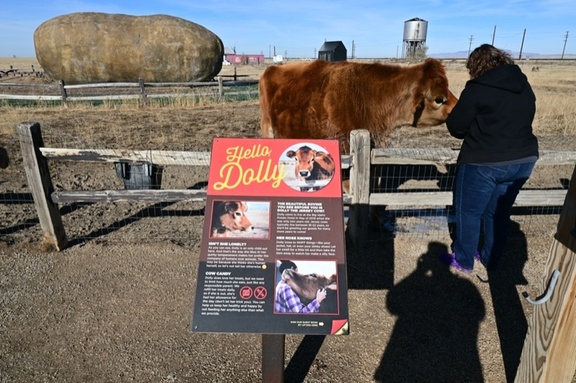 Dolly, and the big Baked Potato