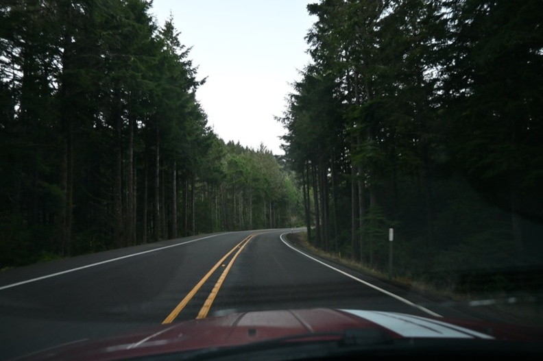 DSC_0586.JPG