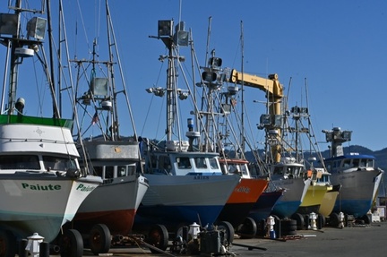 Port Orford Harbor. 