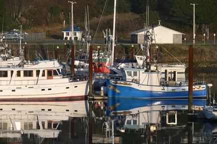 Brookings, Or