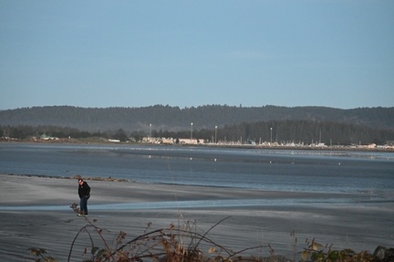 Beachcombing