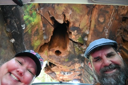 inside tour thru tree