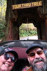 Tour Thru Tree