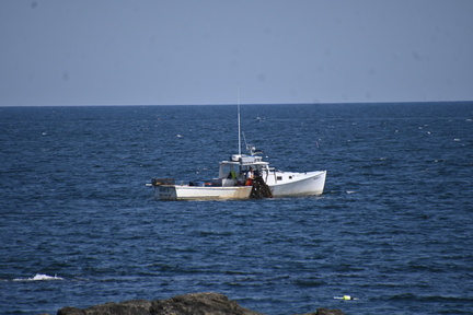 DSC 8966