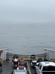 IMG 20250610 071018