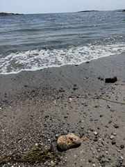 IMG 20250613 124114