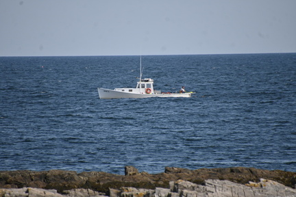 IMG 20250613 132024