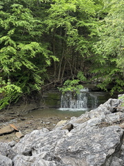 IMG 20250616 080122
