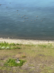 IMG 20250616 115610