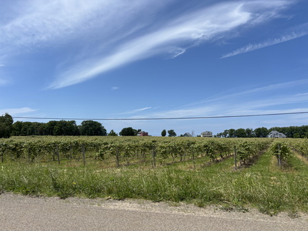IMG 20250616 122158
