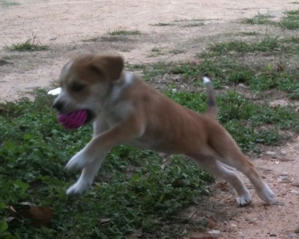 baby Maggie